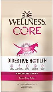 Wellness CORE Digestive Health Salmon & Rice Dry Cat Food