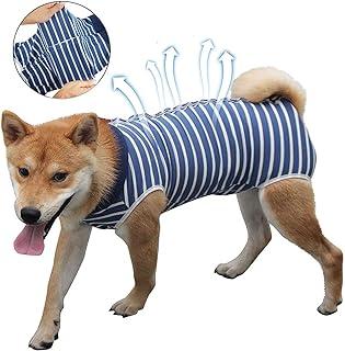 Coppthinktu Dog Recovery Suit for Abdominal Wounds
