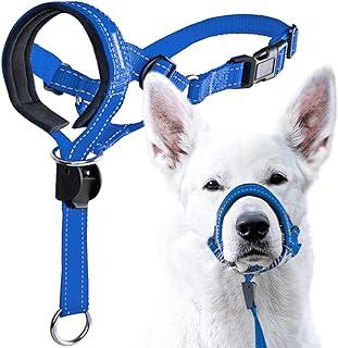GoodBoy Dog Head Halter with Safety Strap