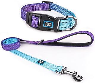 Roses&Poetry Reflective Dog Collar and Lead with Gradient Violet