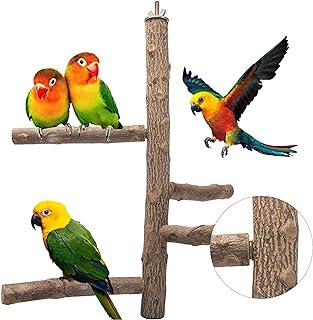 Bird Perch Natural Wood Stand Toy
