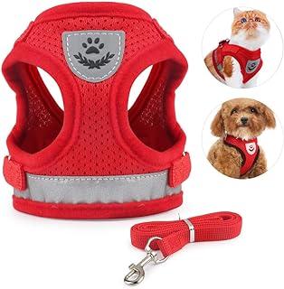 Idepet Cat Harness and Leash for Walking