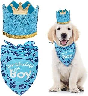 Dog Birthday Bandana with Crown Hat