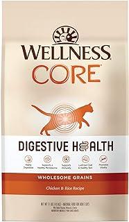 Wellness CORE Digestive Health Chicken & Rice Dry Cat Food