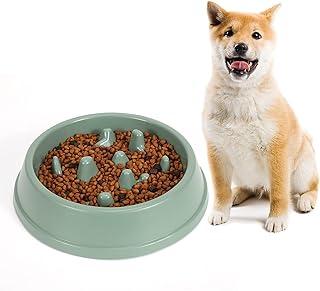 Slow Feeder Dog Bowl (Anti-Gulping)