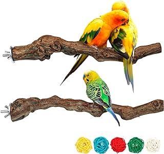 2 Packs Parrot Perch Stand,Natural Grapevine Wood Pertaining to Small or Medium Cockatiels
