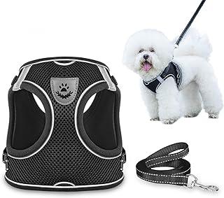 Dog Harness and Leash Set for Walking