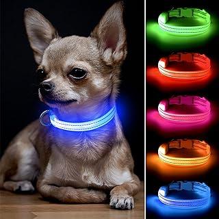 BSEEN Light Up Puppy Collar