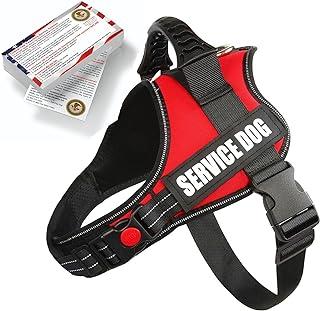 Service Dog Harness Jacket with Padded Handle, Adjustable Straps & 2 Removing Reflective Patch