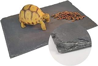Binano Tortoise Habitat basking Rock Feeding Dish Bowl
