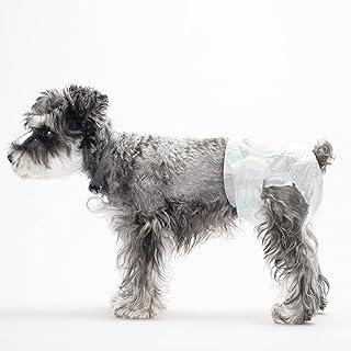 Disposable Diapers for Different Sized Dogs