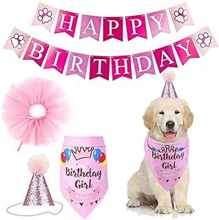 Dog Cat Birthday Bandana Hat Banner Party Supplies Kits