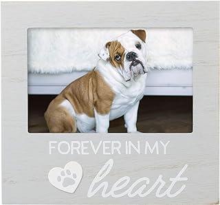 Pearhead Pet Forever In My Heart Keepsake Picture Frame