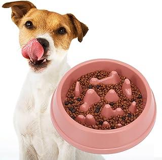 Slow Feeder Bowl Dishes for Small Medium Dog Maze