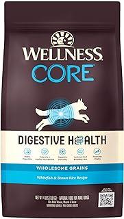 Wellness CORE Digestive Health Dry Dog Food with Wholesome Grains