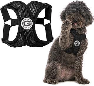 Gooby Comfort X Step in Harness for Medium Dogs