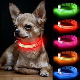 BSEEN LED Dog Collar