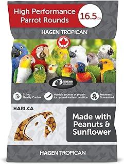 Hagen Parrot Food Spheres with Peanut and Sunflower Seed