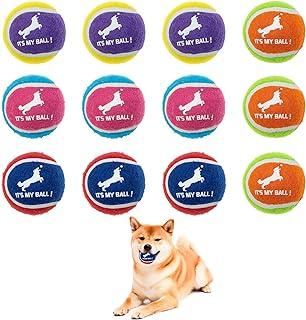 EXPAWLORER Squeaky Tennis Balls for Dog & Puppy