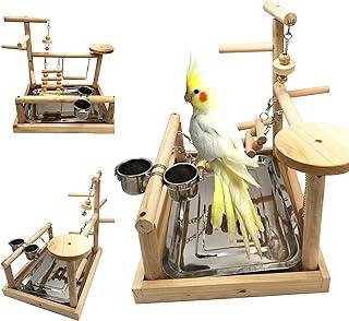 Playgym with Feeder Cups for Parakeet