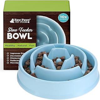 Raw Paws Slow Feeder Dog Bowl