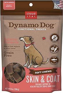 Cloud Star Dynamo Dog Skin & Coat Treats