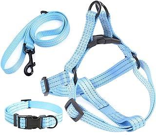 Mile High Life Night Reflective Double Adjustable Band Nylon Small Puppy Pet Dog Combo Collar Leash and Harness