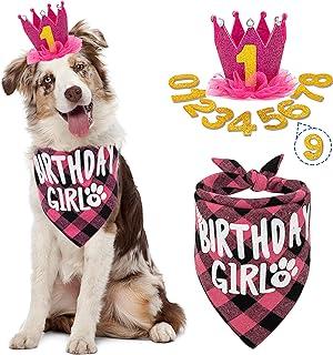 FLYSTAR Dog Birthday Bandana with Hat and Number