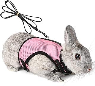 Pettom Bunny Rabbit Harness and Leash Set