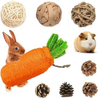 Rabbit Chew Toys, Pet Bunnies Tooth CHEW TOYS and Carrot Gnawing Treat