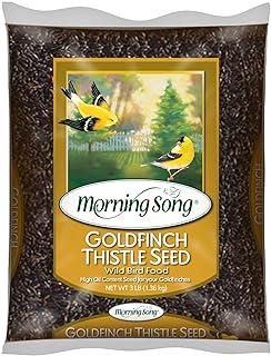 Goldfinch Thistle Seed Wild Bird Food, 3-Pound