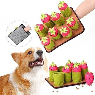 Interactive Dog Toys with Squeaky Strawberries