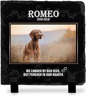 Brd Gifts Pet Memorial Stone with Photo