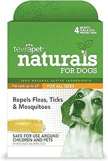Natural Flea and Tick Prevention for Dogs