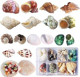 Hermit Crab Shells 17PCS (9) Small Growth Turbo Seashell 0.6-1.6 Inch