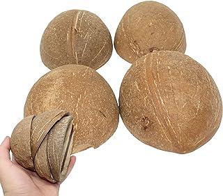 Bonka Bird Toys 1031 Pk4 Half Shell Coconut Natural Forage Chewing Party