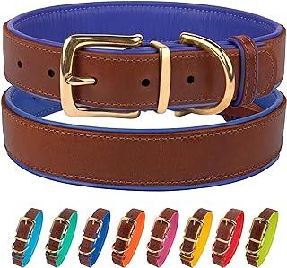 Leather Dog Collar Brass Buckle Puppy Small Medium Large Red Pink Blue Green Purple Yellow