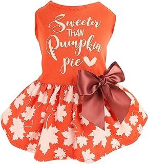 Fitwarm Thanksgiving Sweeter Than Pumpkin Pie Dog Dress 100% Cotton Puppy Costumes