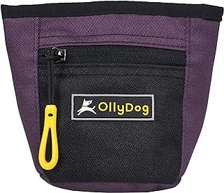OllyDog Dog Treat Bag with Belt Clip, Dahlia