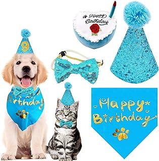 PET SHOW Blue Small Dogs Birthday Party Supplies