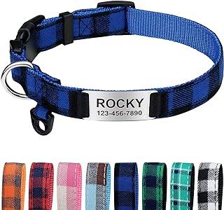 Custom Dog Collar with Engraved Slide on ID Tags