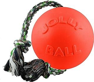 Jolly Pets Rope and Ball Dog Toy, 4.5 Inches/Small