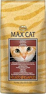 NUTRO MAX CAT Adult Salmon Flavor Dry Cat Food