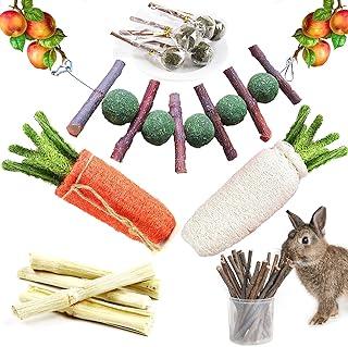 SINKOO Rabbit Chew Toys for Teeth Grinding