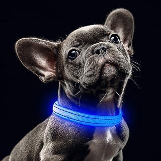 YFbrite LED Dog Collars, Comfortable Light Up Puppy