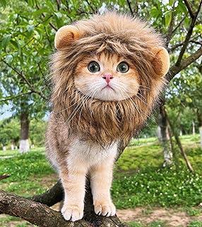 RosyLife Lion Mane Wig for Cat Costume