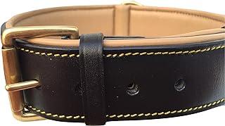 Black Leather Padded Dog Collar with Heavy Duty Brass Buckle, Size XLarge