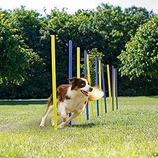 Petprime Dog Agility Hurdle Pole Set with Carrying Case 12PCS