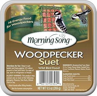 Morning Song 11462 Woodpecker Suet Wild Bird Food