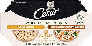 Cesar Wholesome Bowls Adult Soft Wet Dog Food Toppers Variety Pack